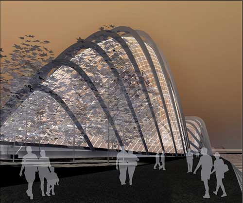 �¼��º������@�_�l(f��)�(xi��ng)Ŀ