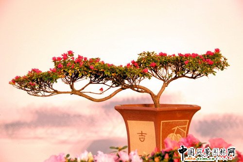 ���ڈ@���@���N����չ(�M�D)