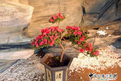 ���ڈ@���@���N����չ(�M�D)