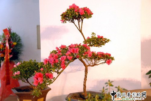 ���ڈ@���@���N����չ(�M�D)