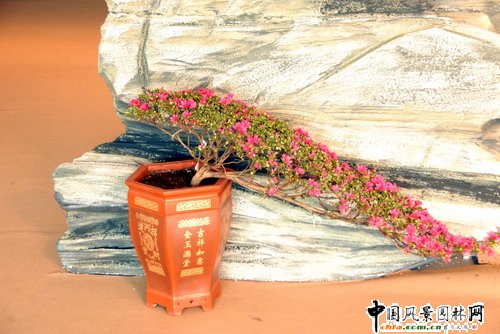 ���ڈ@���@���N����չ(�M�D)