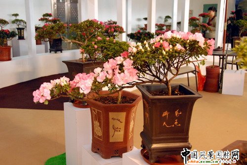 ���ڈ@���@���N����չ(�M�D)