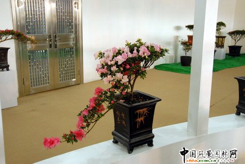 ���ڈ@���@���N����չ(�M�D)