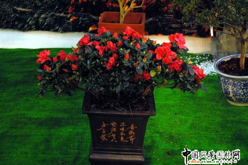 ���ڈ@���@���N����չ(�M�D)