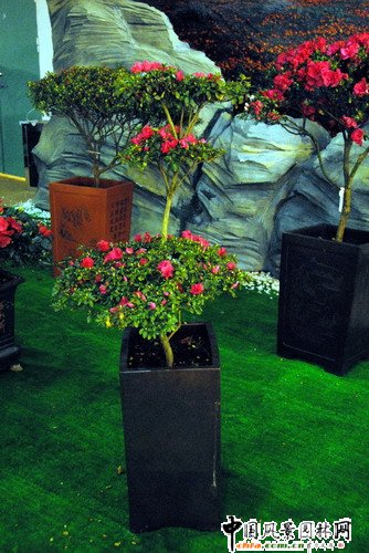 ���ڈ@���@���N����չ(�M�D)