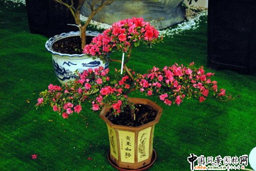 ���ڈ@���@���N����չ(�M�D)