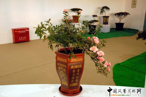 ���ڈ@���@���N����չ(�M�D)