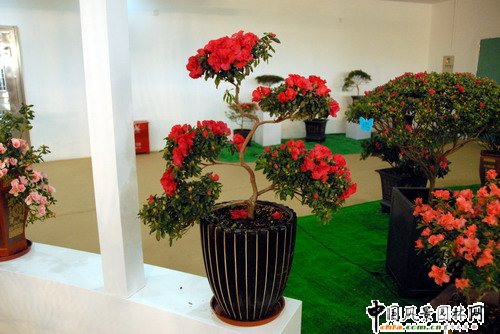 ���ڈ@���@���N����չ(�M�D)