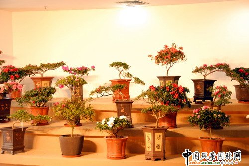 ���ڈ@���@���N����չ(�M�D)