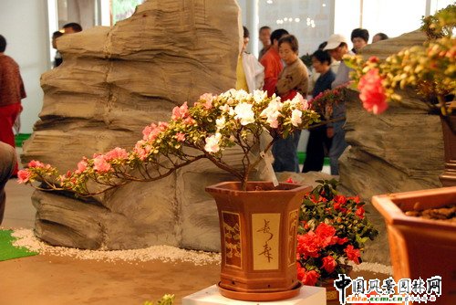 ���ڈ@���@���N����չ(�M�D)