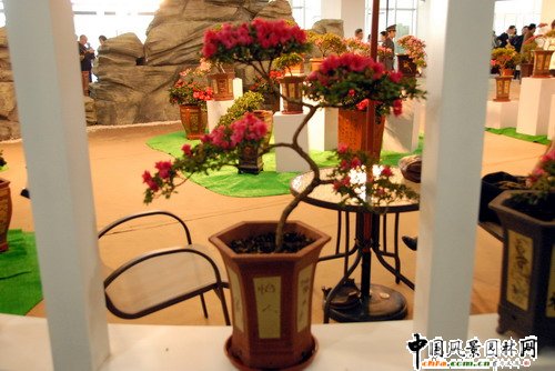 ���ڈ@���@���N����չ(�M�D)