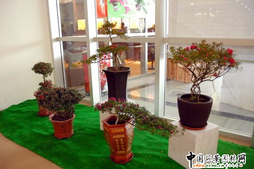 ���ڈ@���@���N����չ(�M�D)