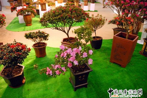 ���ڈ@���@���N����չ(�M�D)