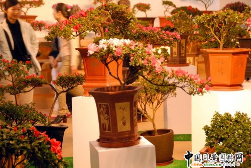 ���ڈ@���@���N����չ(�M�D)