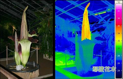 �����r��