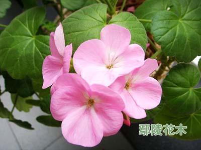 ��ů����B�����ӱ���