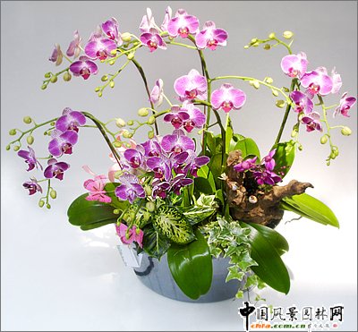 ����(ji��)�껨�D(zhu��n)�\(y��n)(�M�D)