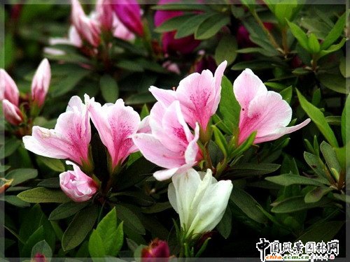 ���N��(�D)