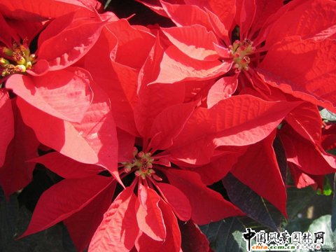 һƷ�t���xُҪ�c(�D)