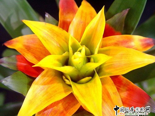 �P����xُ(�D)