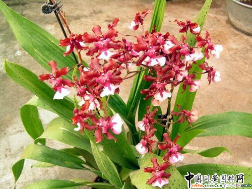 �����m(�D)