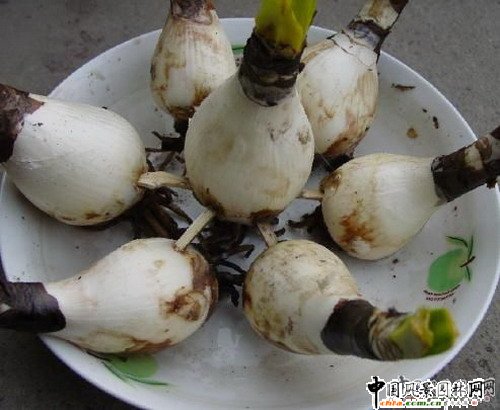 �������M���p�_ ����������ٻ��Ӷ�