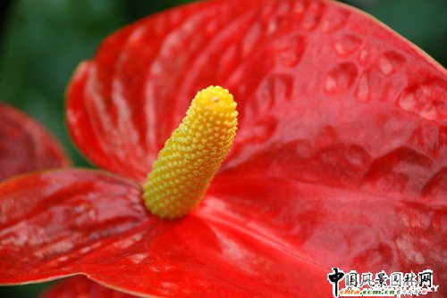 ɽ�|�u��ʮ�������������� ���t�ơ�λ�Ӱ���