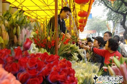 �V��ʮ���мt��ӭ��