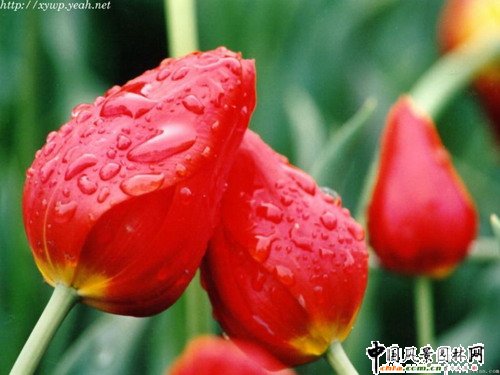 ��Ҋ�������ܻ��Z