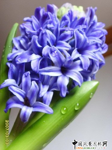 ��Ҋ�������ܻ��Z