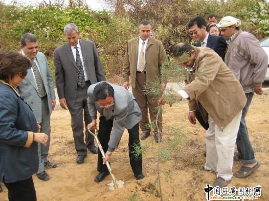 �Ї��v������ʹ�䴺�A���а��������x��ֲ��(�D)