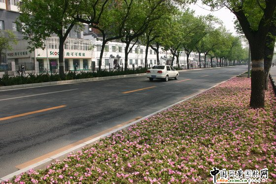 ���A�|·��·�G������ ��·