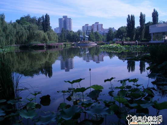 2008������|����֮�˶������@���칤��(�M�D)