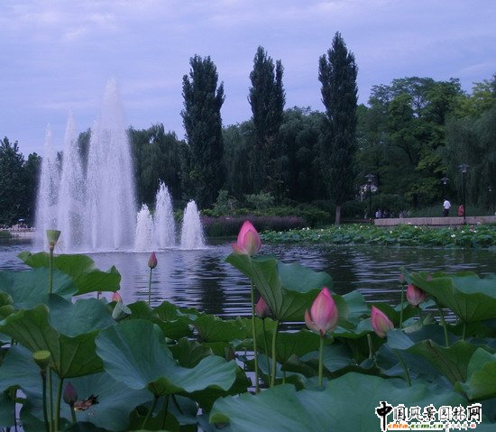 2008���(hu��)��(y��u)�|(zh��)����֮�˶������@���칤��(�M�D)