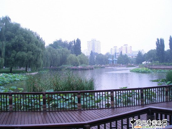 2008������|����֮�˶������@���칤��(�M�D)