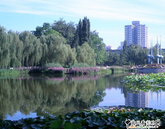 2008�����(y��u)�|(zh��)����֮�˶������@���칤��(�M�D)