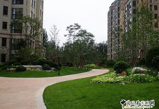 �����G�ǰٺϹ�Ԣ���˶ξ��^����