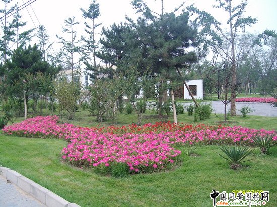 2008������|����֮�����г�ꖅ^�G�����x�؅^��Ұ���@�h���O����ʩ���Ř˶� ���I��Ұ���@һ��