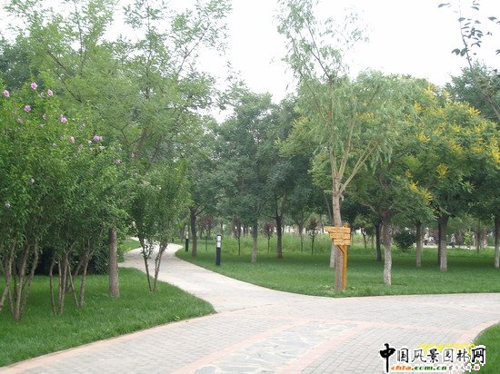 2008�����(y��u)�|(zh��)����֮�����г�ꖅ^(q��)�G�����x�؅^(q��)��Ұ���@�h(hu��n)���O(sh��)����ʩ���Ř�(bi��o)�� ���I��Ұ���@һ��