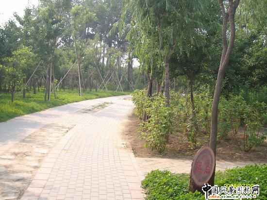 2008�����(y��u)�|(zh��)����֮�����г�ꖅ^(q��)�G�����x�؅^(q��)��Ұ���@�h(hu��n)���O(sh��)����ʩ���Ř�(bi��o)�� ���I��Ұ���@һ��