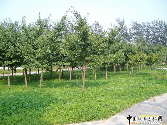 2008�����(y��u)�|(zh��)����֮�����г�ꖅ^(q��)�G�����x�؅^(q��)��Ұ���@�h(hu��n)���O(sh��)����ʩ���Ř�(bi��o)�� ���I��Ұ���@һ��