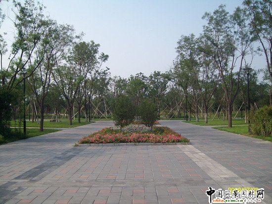 2008������|����֮�����г�ꖅ^�G�����x�؅^��Ұ���@�h���O����ʩ���Ř˶� ���I��Ұ���@һ��