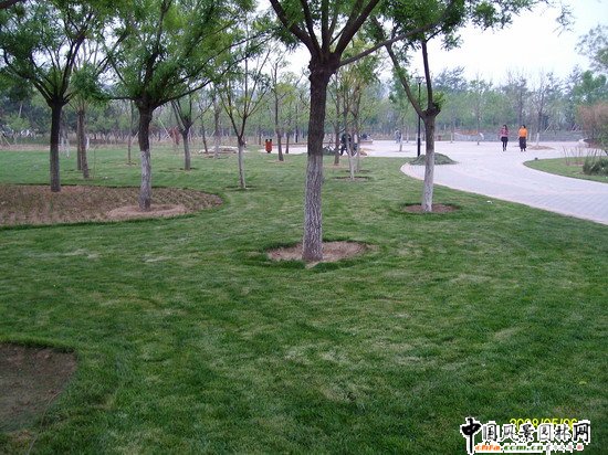 2008������|����֮�����г�ꖅ^�G�����x�؅^��Ұ���@�h���O����ʩ���Ř˶� ���I��Ұ���@һ��