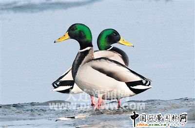 ���B�н����ԁ��ׂ����Ҏ�����������������_