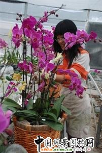 �_(t��i)�ݣ������m�Ј�(ch��ng)ǰ������(�D)