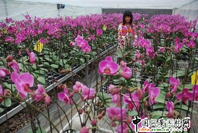 �_(t��i)�ݣ������m�Ј�(ch��ng)ǰ������(�D)