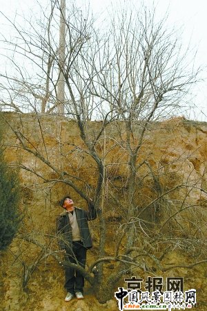 ������ɽ�l�F2480��Ұ���f��(�D)