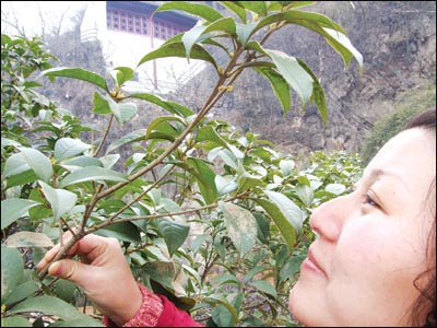 �Ͼ������¹��������_(�D)