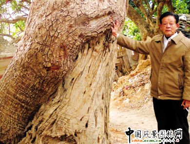 ����ʡ�����У������������ρ�����ġ� �����P���T�����w�z�����D��