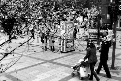 ���{�V���t÷�����_